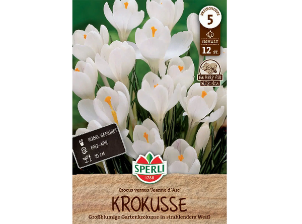 Fehér krókusz